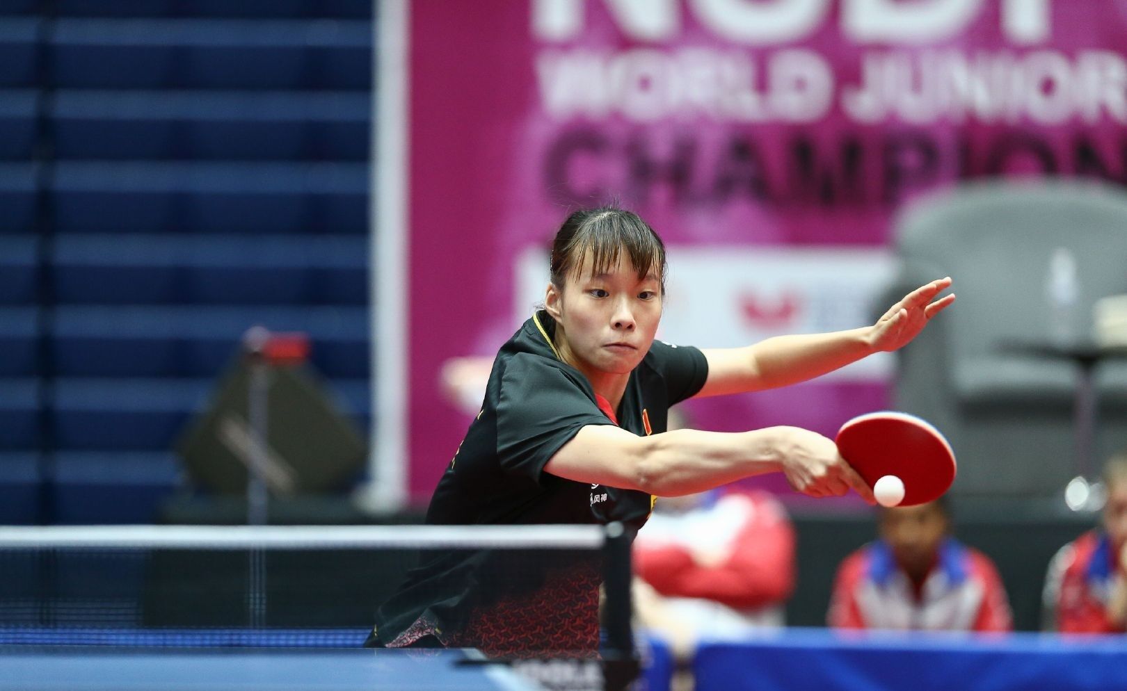 太阳的稳固 太阳的稳固